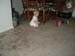 DSCF0985